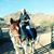 Sharlen S. Van Wert's profile image