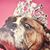 Terri Perez's profile image