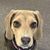 Ida Perkins's profile image