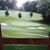 Nancy Herendeen Bonoli's profile image