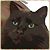 Rita Flynn's profile image