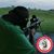 Steve Trent's profile image