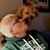 Scott Pruter's profile image