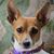Edie Johnson's profile image