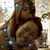 Kecia R. Nason's profile image
