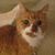 Theresa Kenneweg's profile image