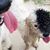 Melissa Merklin Kim's profile image