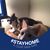Patricia Locke's profile image