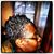 Lena Chadwick's profile image