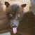 Jim Bucci's profile image