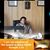 Clarence Williams's profile image