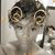 Schuyler Johnson's profile image