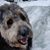 Elaine Arnold Schneider's profile image
