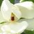 Deborah Deb's profile image