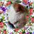 Billie Parke's profile image