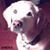 Marcia Anderson's profile image
