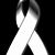 Jonathan Sanchez's profile image