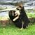 Christina Bachle's profile image