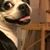 Joyce L. DeVaux's profile image