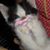 Catianna Savage's profile image