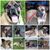 Cherie Benton James's profile image