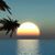 Joe Kehler's profile image
