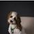 Mary Anne Campion Collins's profile image