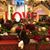 Elvira Reyes Isales's profile image