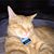 Michele McClane Shockey's profile image