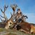 Bryan Schertz's profile image