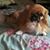 Susan Plante Gayle's profile image