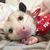 Lori McFarland's profile image