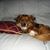 Diane Wade's profile image
