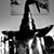 Kimberly Morin's profile image