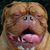 Grant Whitney's profile image