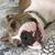 Renee Belardo's profile image