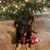 Rebecca Daugherty's profile image