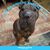 Trisha Ann Fleischer's profile image