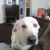Lisa Middleton's profile image