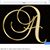 Adriana Rodriguez's profile image