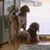 Nikki Popp Meyer's profile image