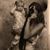 Gracie Wolfert's profile image