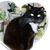 Mary L Dmytrewycz's profile image