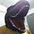 Vaughn Vicars's profile image