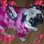 Holli Dennis's profile image