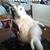 Heather Marie Portwood's profile image