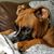 Sharon Johnson Atherton's profile image