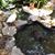 Sharon Walston's profile image