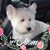 Ric Basil's profile image