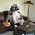 Joeyandrusty CotterRundle's profile image